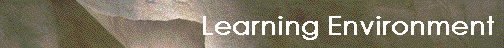 Learning Environment